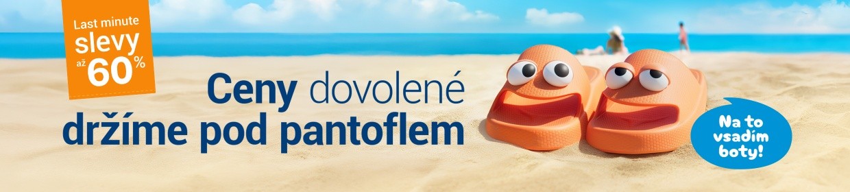 Flip & Flop: dva experti jeden cíl