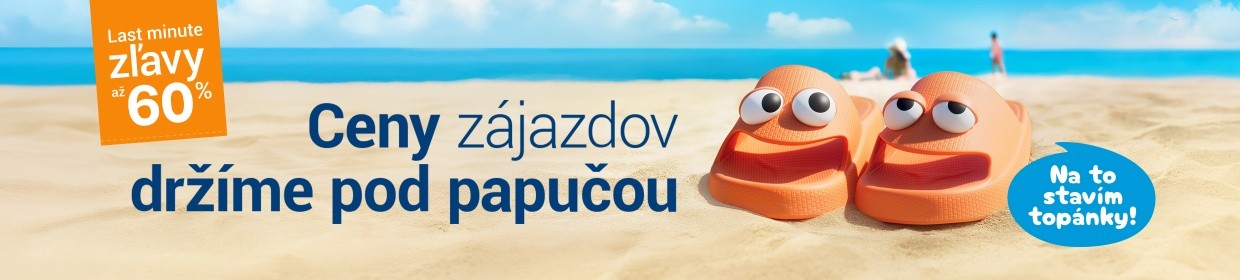 Flip & Flop: dvaja experti jeden cieľ