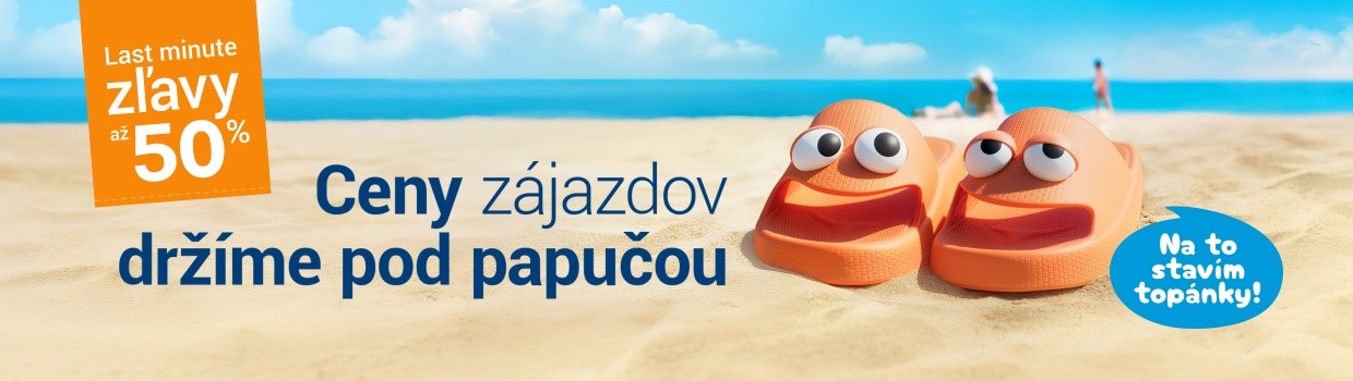 Flip & Flop - dvaja experti jeden cieľ