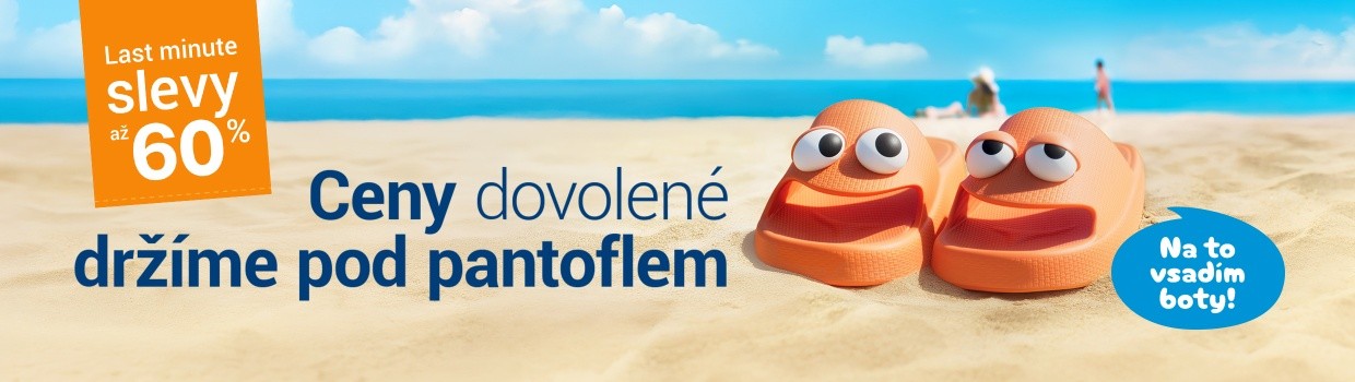 Flip & Flop - dva experti jeden cíl