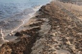 Upravovaná pláž Mehari Hammamet *****