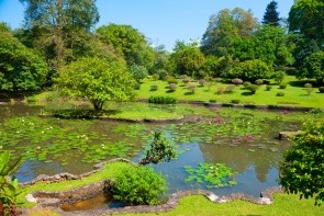 Královská botanická zahrada
