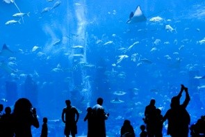 Dubaiské Akvárium & Podvodné Zoo