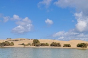 Laguna La Charca