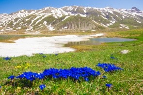 Horské lúky Campo Imperatore