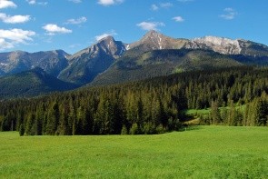 Vysoké Tatry