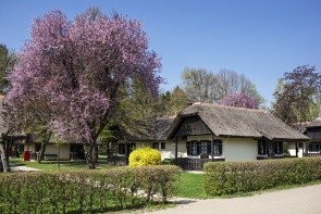 Bungalovy Termal