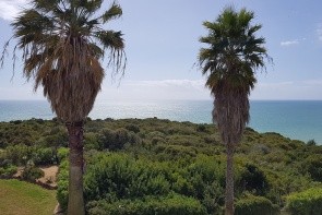 Pestana Palm Gardens Ocean & Golf Villas