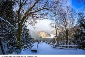 Donauschlinge (Schlögen)