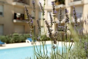 Aparthotel Adagio Access Bordeaux Rodesse