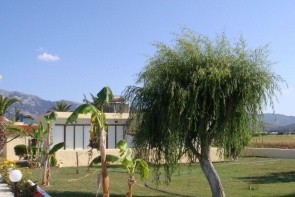 Oasis (Tigaki)