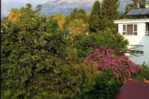 Kemer Star (Ex. Kemer Residence)