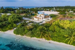 Olive Goidhoo