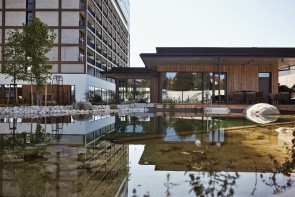 Freigold (Freistadt)