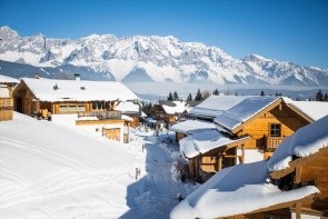 Edelweiss (Reiteralm)