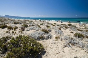 Camping Baia Paradiso