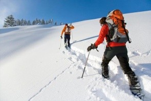 Restaurant Kloepferkeller (Eibiswald)