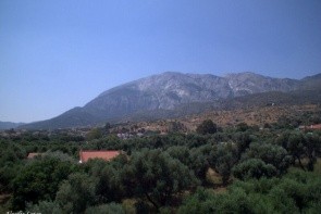 Sofia (Marathokampos)