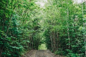 Jeżowa Woda (Przyszowa)