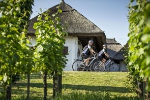 Appartements Prekmurska Vas