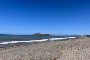 Venus Beach