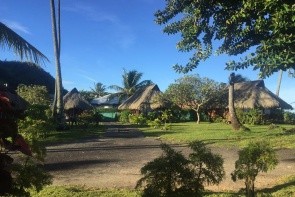 Hibiscus Moorea