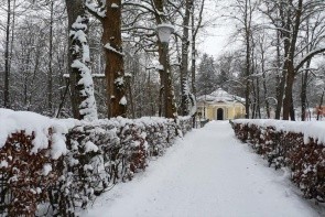 Zur Klause (Bad Hall)