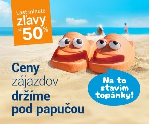 Flip & Flop: dvaja experti jeden cieľ