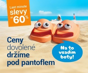 Flip & Flop: dva experti jeden cíl