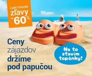 Flip & Flop: dvaja experti jeden cieľ