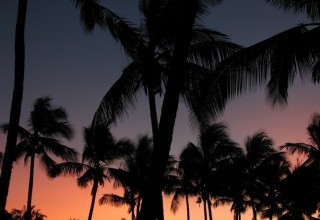 Shanzu Beach/Paradise Resort