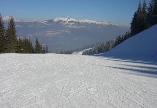 Stella Alpina