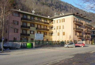 Stella Alpina