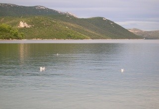 Luka