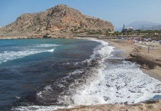Royal Mare