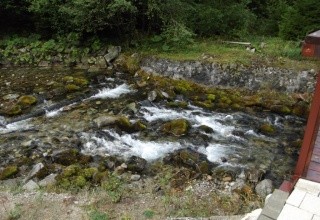 Sorea SNP