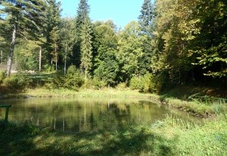 Sorea Ľubovňa