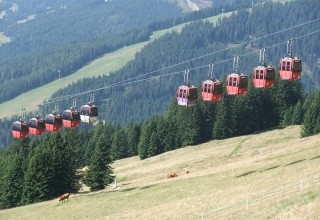 Wechselberger