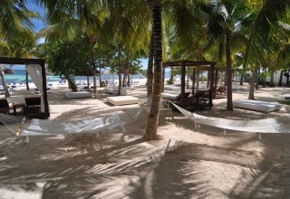 Grand Oasis Palm Resort & Spa