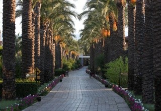TUI BLUE Palm Garden