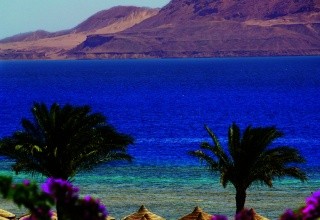Baron Resort