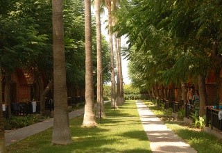 Can Garden Beach