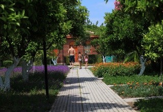 Can Garden Beach