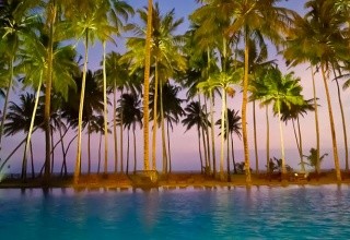 The Blue Water