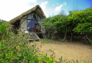 Jungle Beach Resort