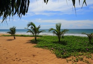Temple Tree Resort & Spa