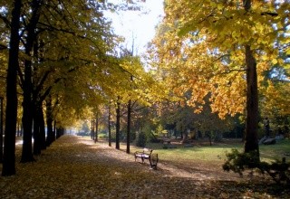 Nagyerdő