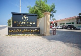 Flamingo Beach Resort