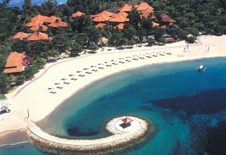 Bali Tropic