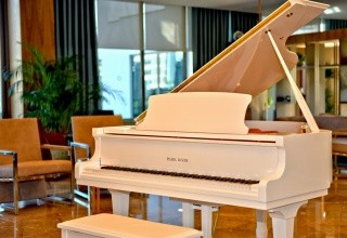 Side Star Elegance (ex. Asteria Side)